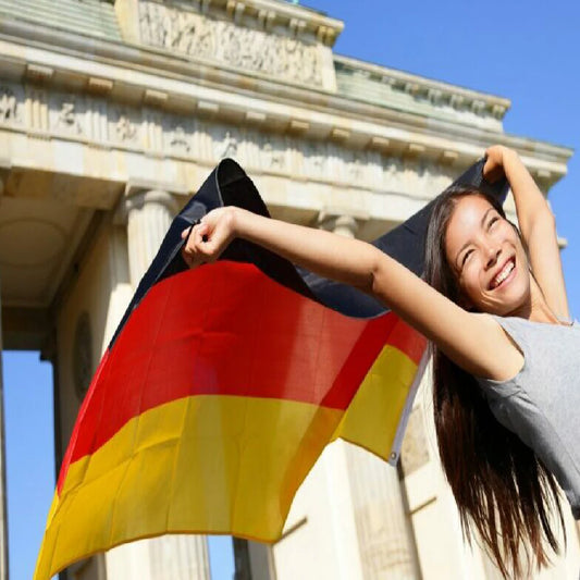 3x5ft Black Red Yellow De Deu German Deutschland Germany Flag