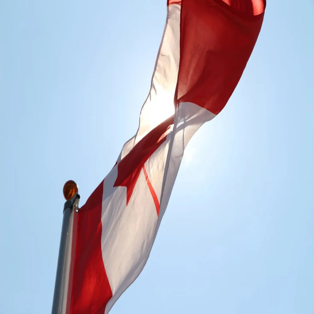 Great Canadian Flag 90*150cm hanging polyster 3x5fts Canada national flag banner for decoration